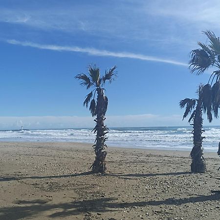 Cap D'Agde Port Lano T2 Clim, Piscine, Tennis Et Parking Luaran gambar