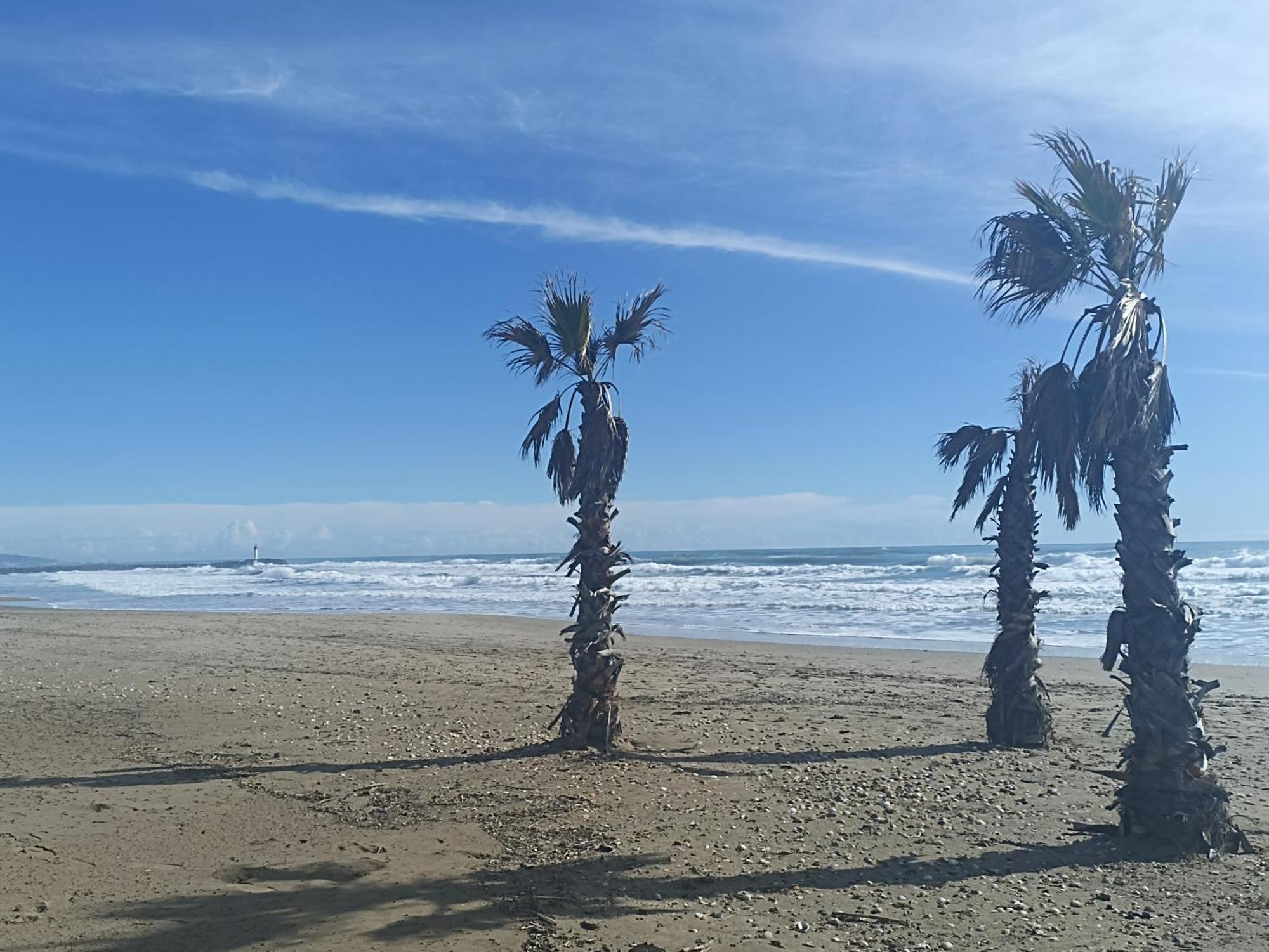 Cap D'Agde Port Lano T2 Clim, Piscine, Tennis Et Parking Luaran gambar